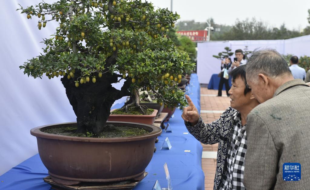 网赌试玩2000