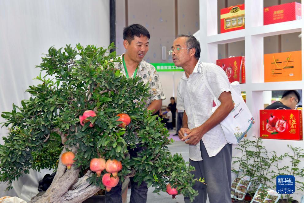 白菜网送彩金大全